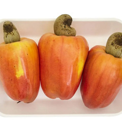 Rock Doido de c[AJU]