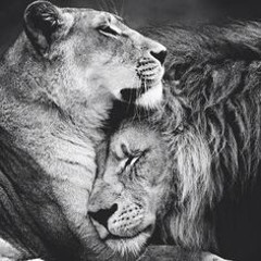 Inner Circle - Wrapped Up In Your Love 🦁