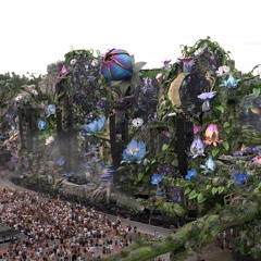 USED - Tomorrowland 2024 - WE2