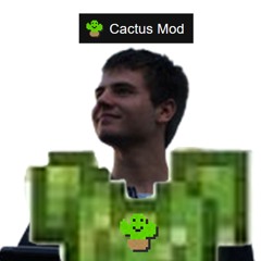 MCPlay24 Ausmistungssong