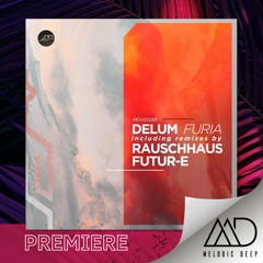 PREMIERE: Delum - Furia (Original Mix) [Movement Recordings]
