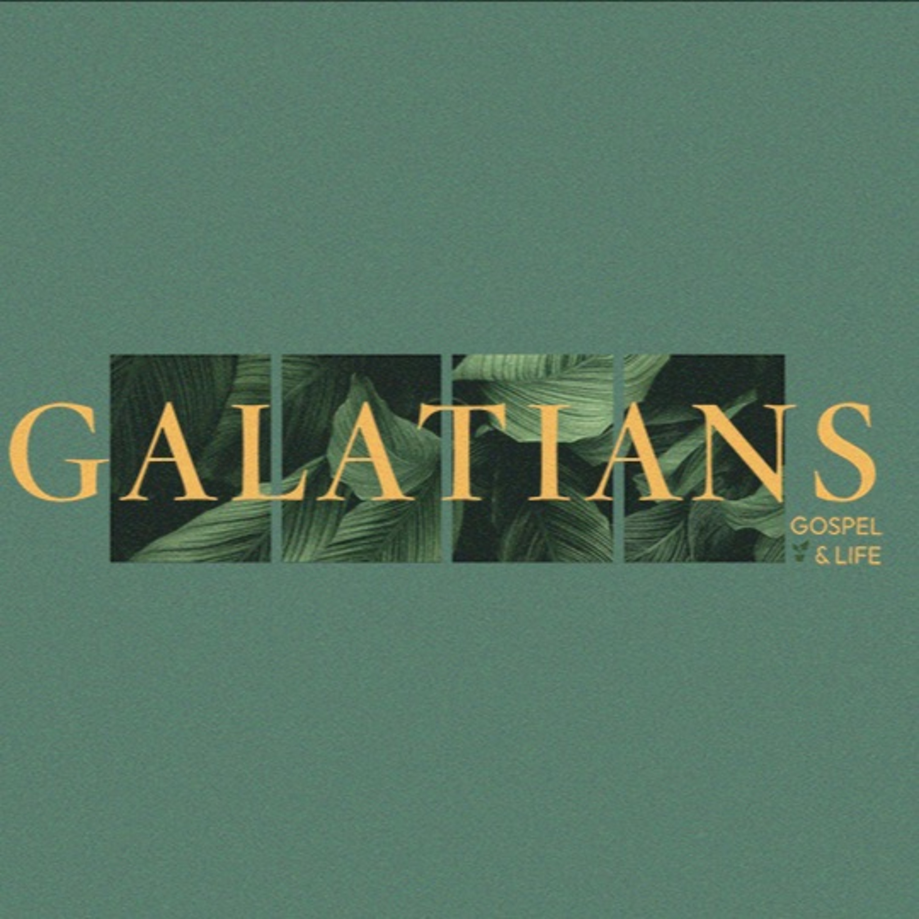 Galatians: The Gospel and the Law - Jake Gehret