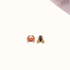 crab fly.wav
