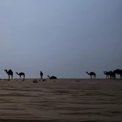 عليك الله أكبر كان قلبي تولع فيك .