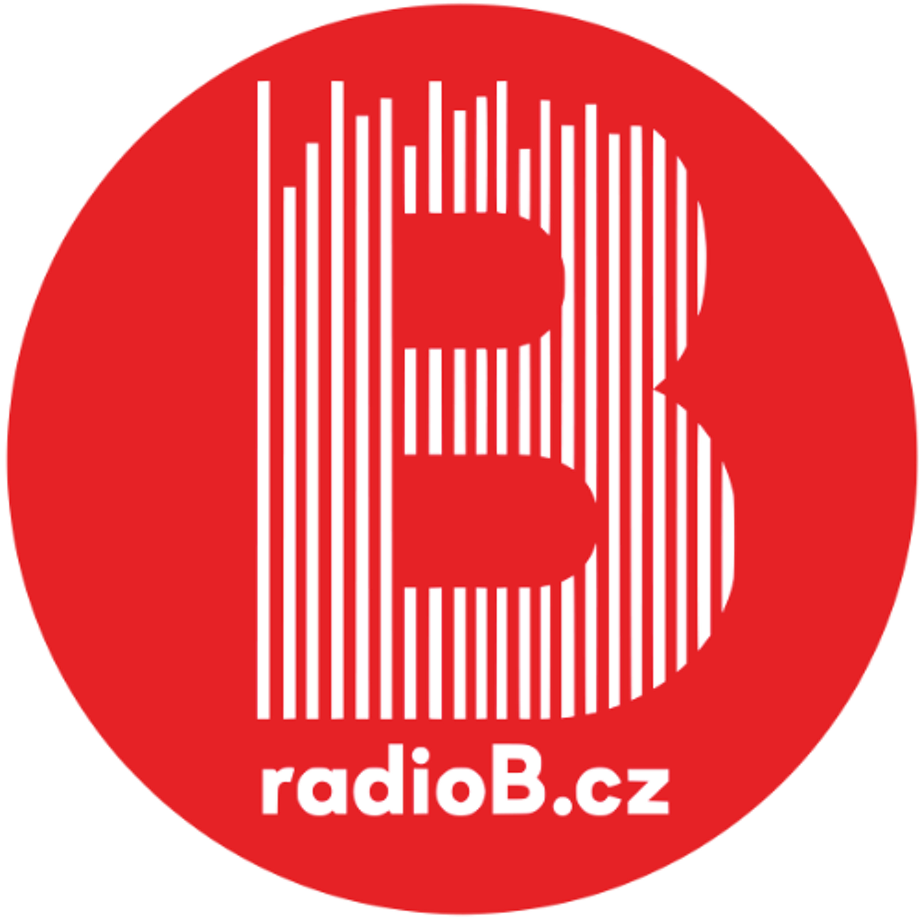 Radio B - Horká kaše #2 (Mirek Fibiger) 12. 11.2025 episode artwork