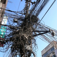 gibbs - out the trunk prod. birdbusiness