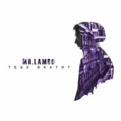 Mr Lambo-Плед