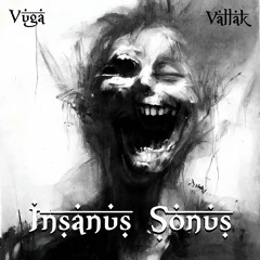 VuGa & VallaK - Insanus Sonus