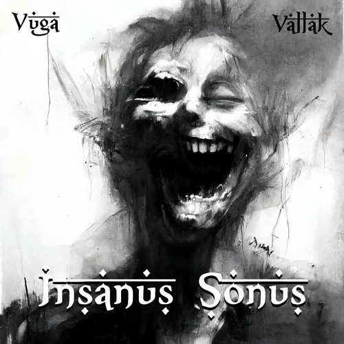 VuGa & VallaK - Insanus Sonus