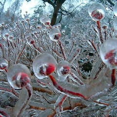 Fin de ce qui est lié au royaume des idées à la nature des choses au temps et aux instants suspensif
