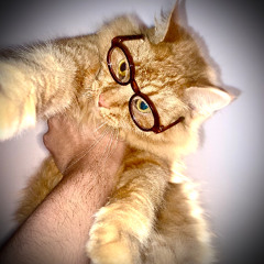 nice to know p.(snaketwn)