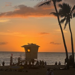 working class wizard