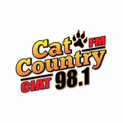 CAT COUNTRY BRANDED TENILLE ARTS SOMEBODY LIKE THAT CLIP