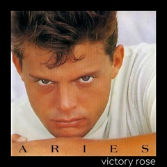 Luis MIguel - Suave (Victory Rose Remix)