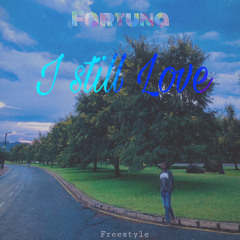 Fortuna - I Still Love (Freestyle).mp3