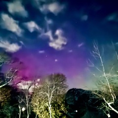 Ambergris Hamburgers Anger Us (Live, CalArts)