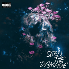 SEEN THE DAMAGE (prod. sky)