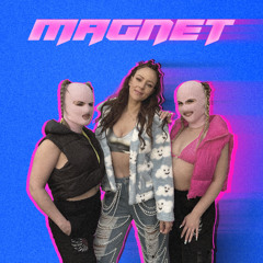 Magnet