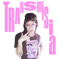 TRANSmisia @ Pohoda2025