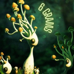 6 Mushroom Grams (Original Mix)