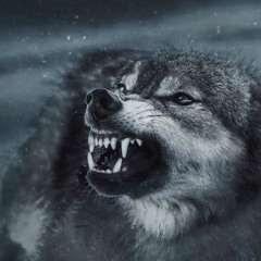 wolves (prod. ebbe)