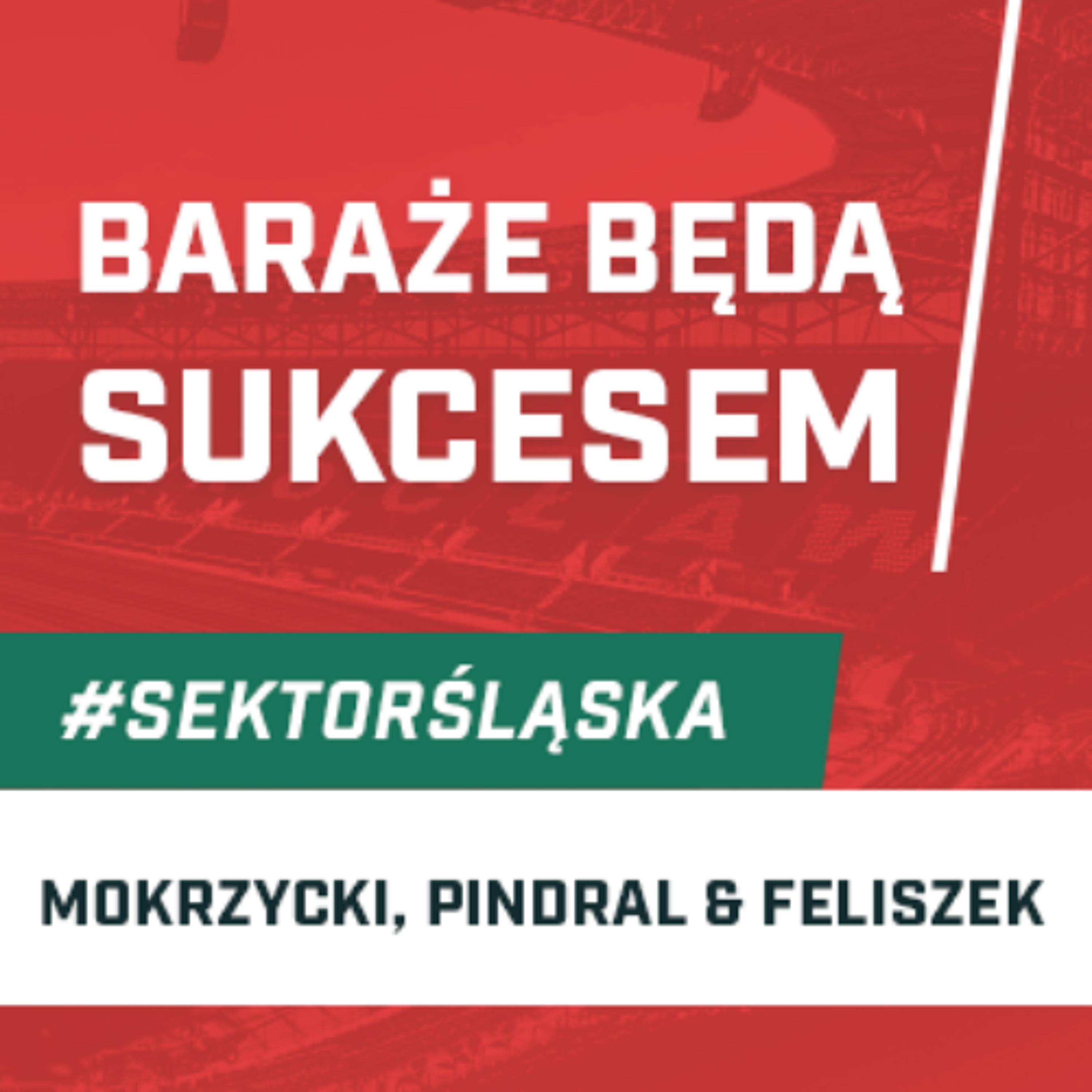 Śląsknet