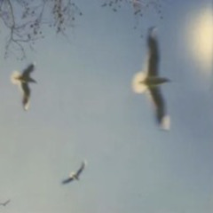 ALWAYS PREFERRED YOU SOBER