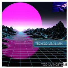 Vinyl Mix - Classic Techno - Tod Livingstone