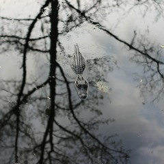 Iunno (an original by breanna gosdin)