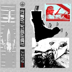 PHXS11 LBEEZE - Induced Expressions LP