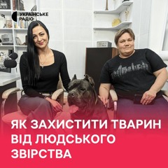 Як захистити тварин від людського звірства
