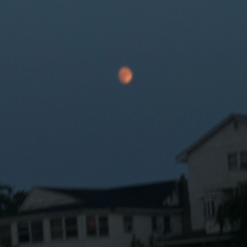 Same Damm Dream(DEMO)