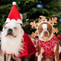 Murry Crimas
