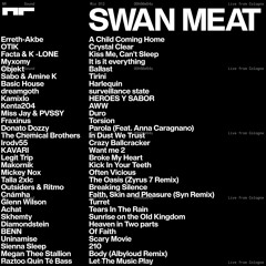 NR Sound Mix 012 SWAN MEAT