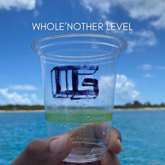 WHOLE'NOTHER LEVEL