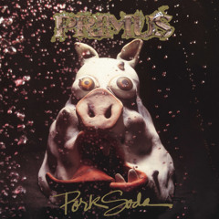 Mr. Krinkle (Album Version)