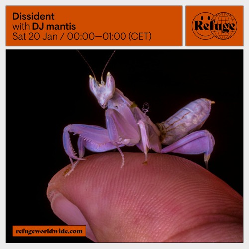 Dissident - DJ mantis - 20 Jan 2024