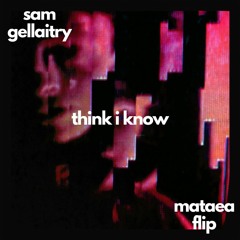 sam gellaitry - think i know (mataea flip)