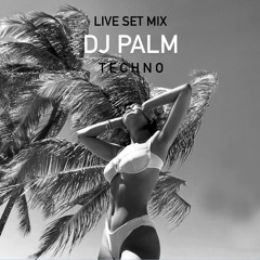 LIVE SETMIX 03_DJ PALM_TECHNO GENRE