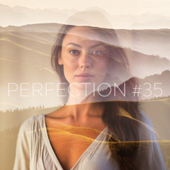 PERFECTION #35