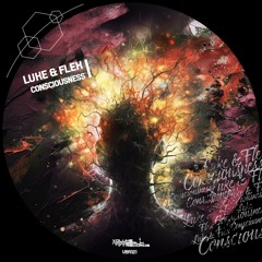 Luke&flex - Consciousness (Original Mix)