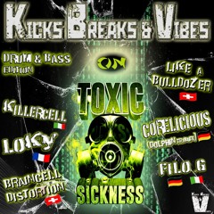 BRAIN CELL DISTORTION / KICKS, BREAKS & VIBES SHOW #1 ON TOXIC SICKNESS / SEPTEMBER / 2024