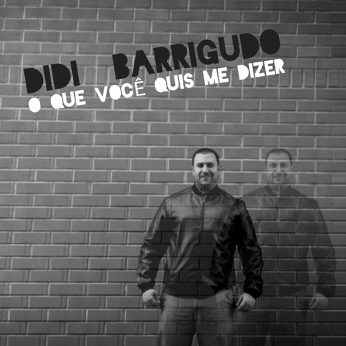 Didi Barrigudo - O Que Você Quis Me Dizer (Music by Touch Sensitive)