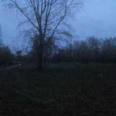 lo admito soy toxico