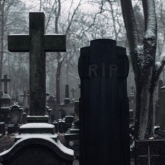 Born To Die (Prod. by Prince)