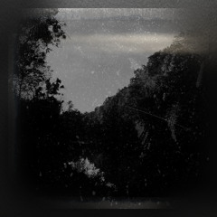 Esal - LSN