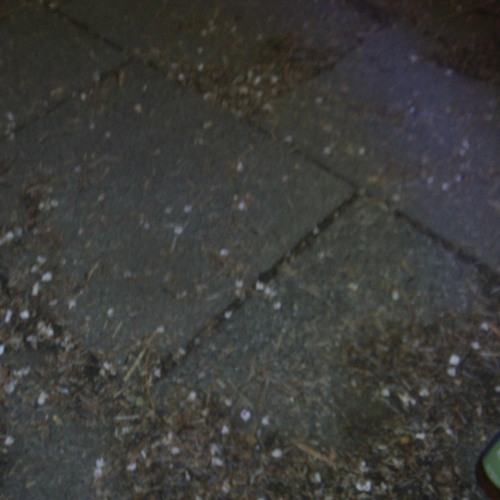 track 2