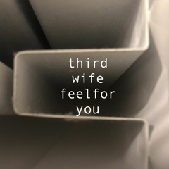 Premiere: Third Wife 'Feel For You'