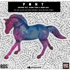 PONY - Ginuwine Feat. Shabba Ranks & Beenie Man (Def Alien Eastern Parkway 2024 Mixtape Remix)