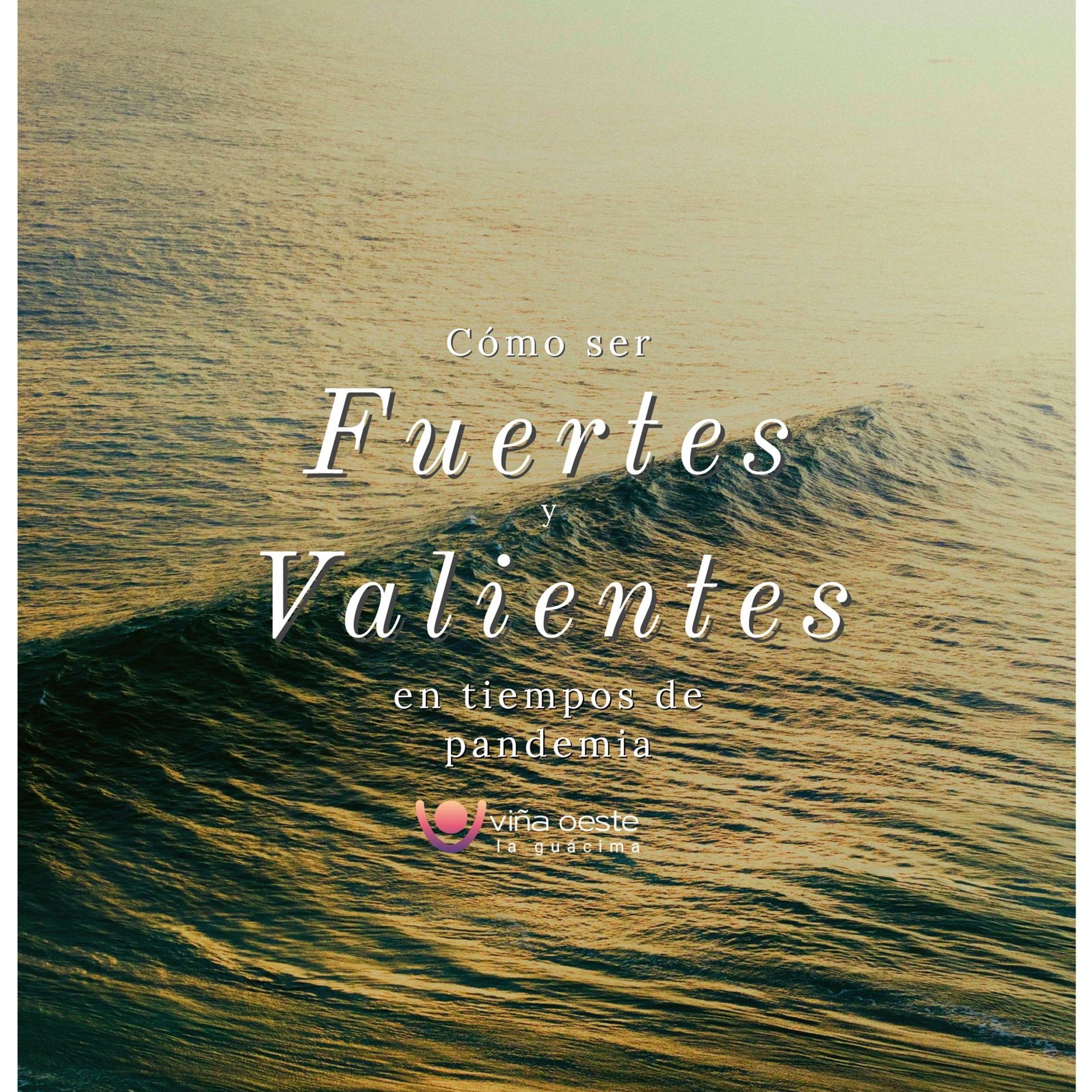 22-01-2022 - Charla: Cómo ser fuertes y valientes en tiempos de pandemia - Erika Vega episode artwork